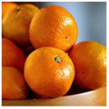 White Mandarin Orange Balsamic, WITH LABELS Case of 12 375mL Bottles