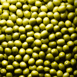California Manzanillo Small Batch Extra Virgin Olive Oil, Case of 24 100ml Bottles